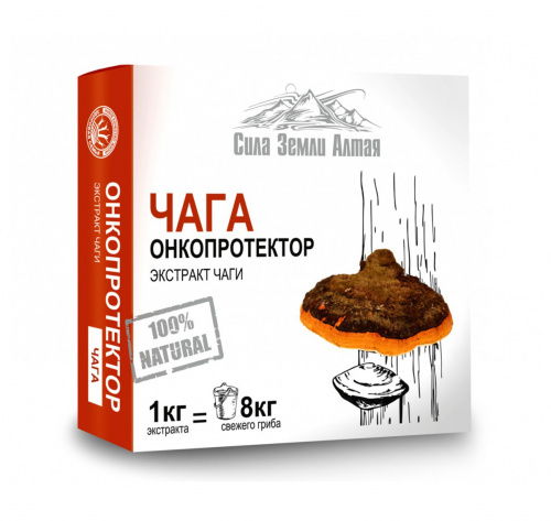 Экстракт Чаги (онкопротектор) Здоровая семья Сибирь, 30 капсул