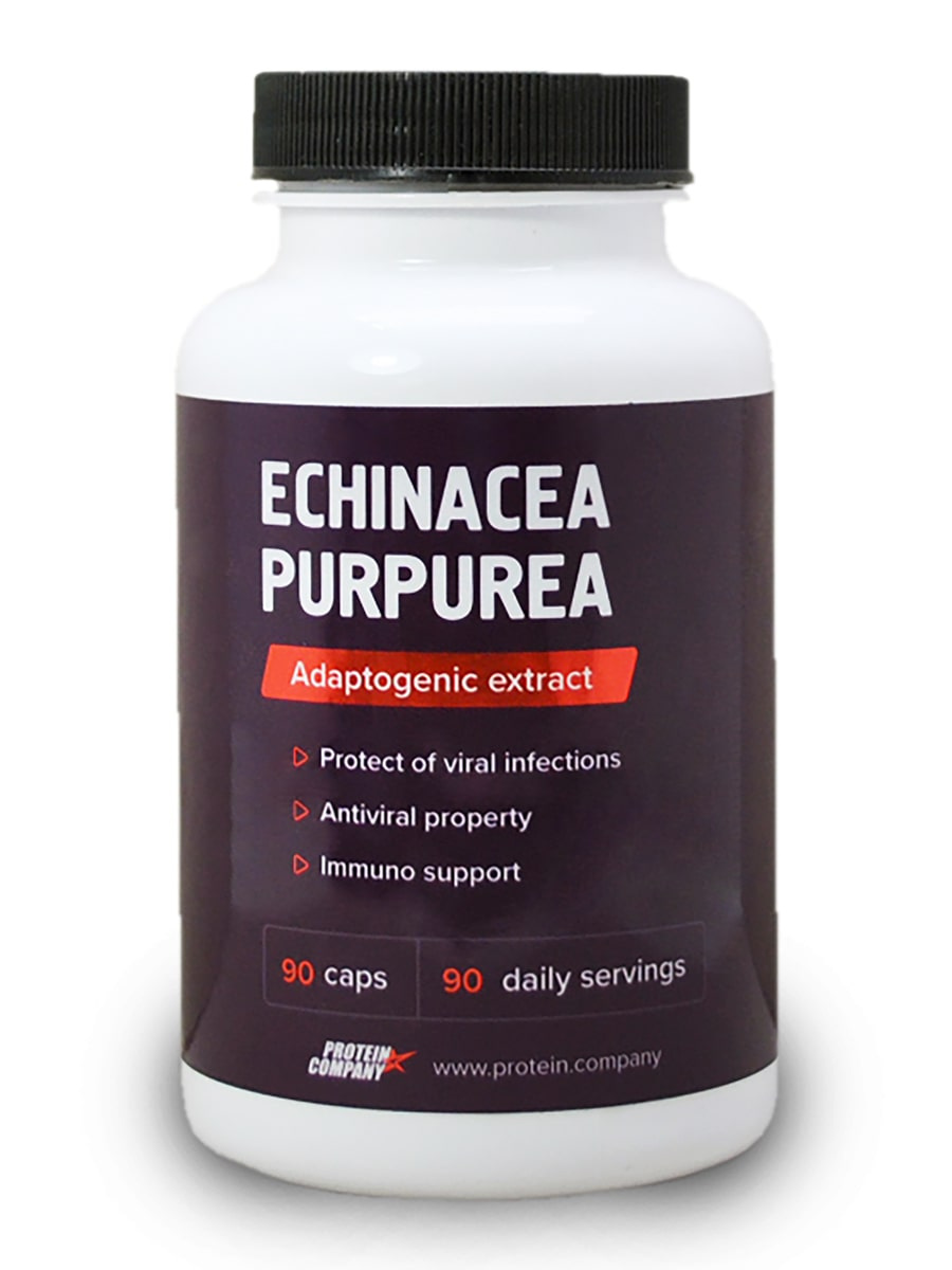 Echinacea purpurea (Экстракт эхинацеи) PROTEIN.COMPANY, 90 капсул