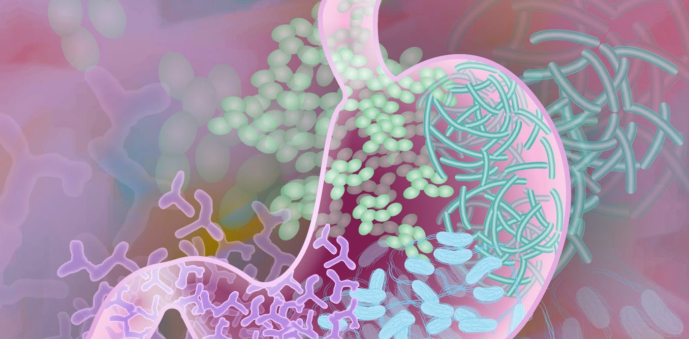 Как микрофлора кишечника влияет на здоровье